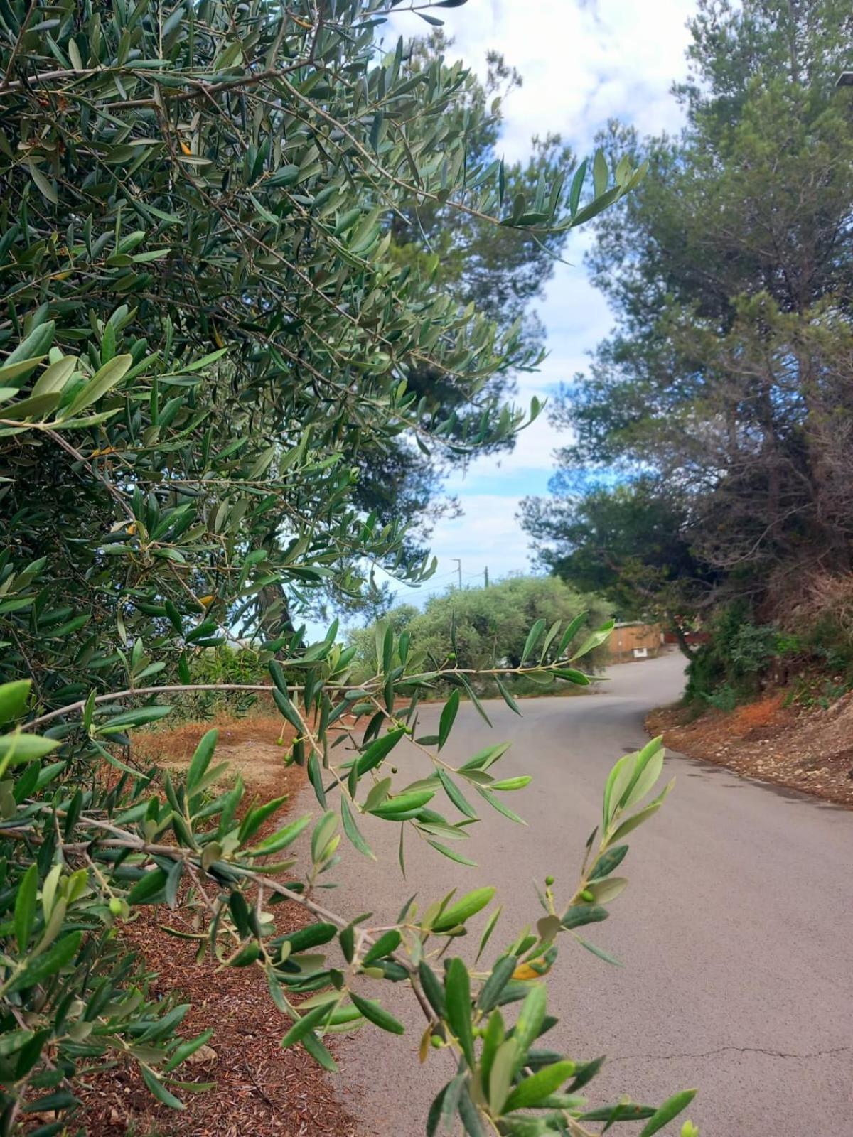 Dolci Risvegli Appartamento Vista Mare Ventimiglia Exterior photo